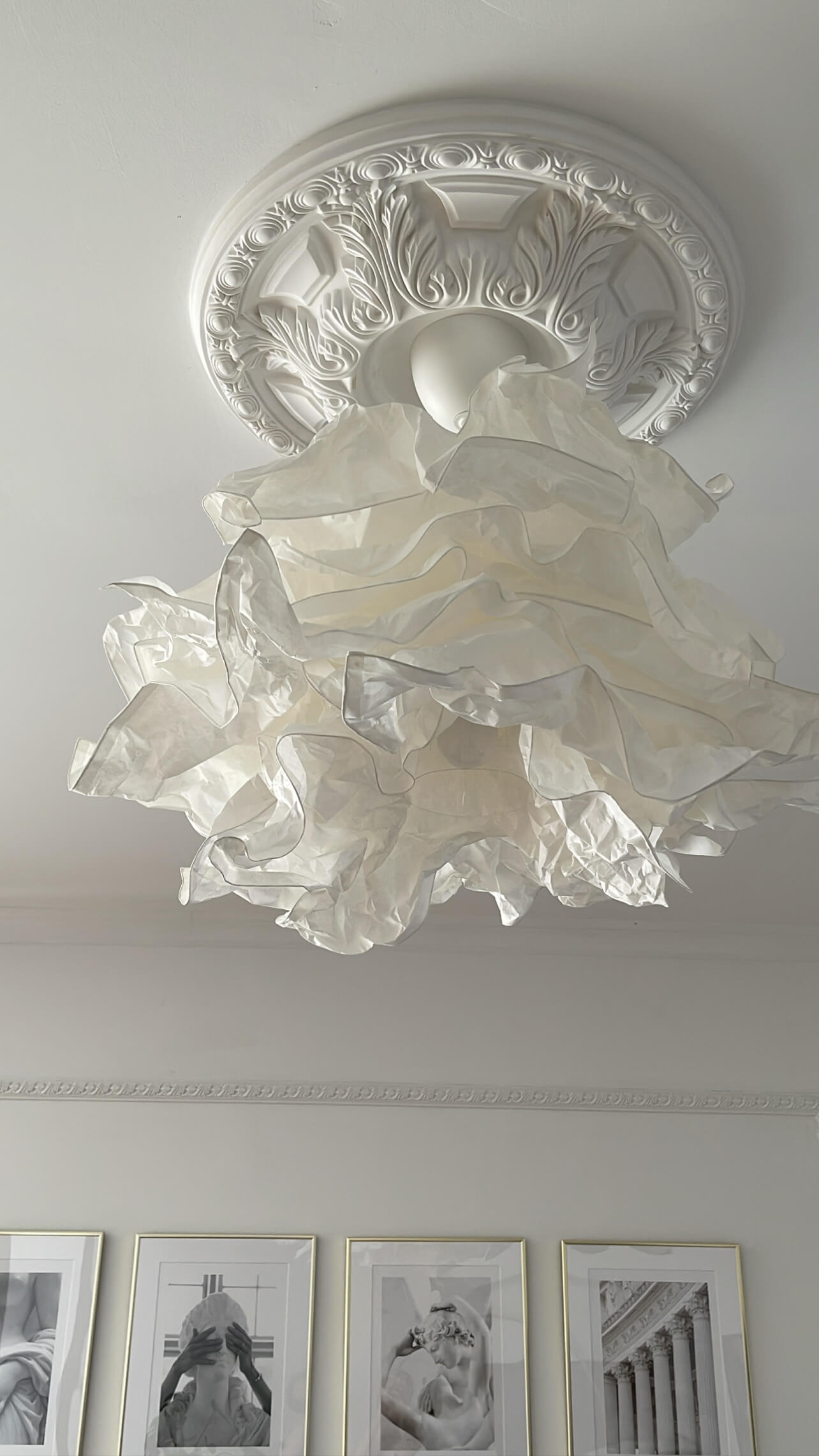 B3047 Mardom Decor rozeta – zdjęcie w aranżacji (producent Mardom Decor)