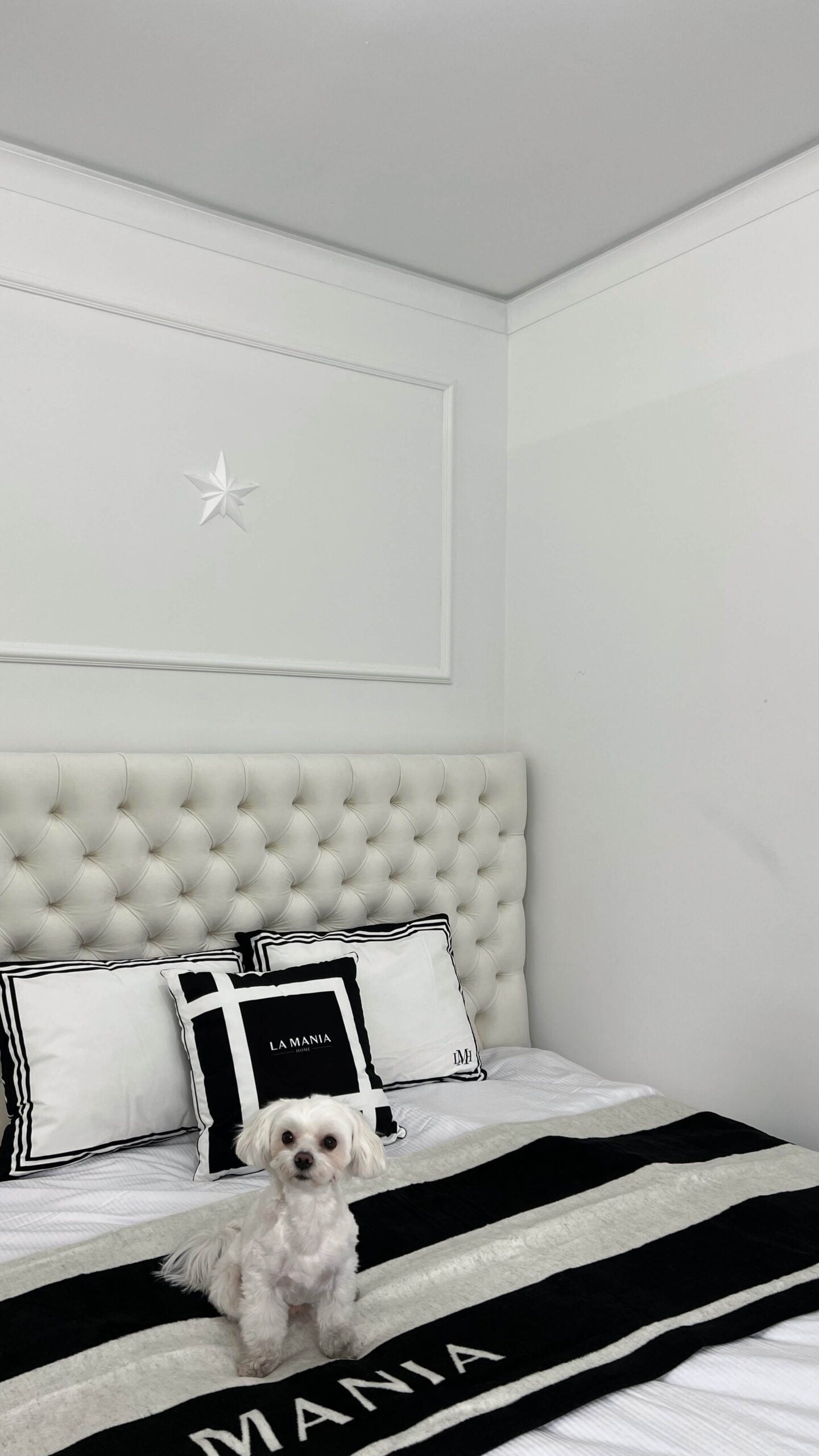 MD002 Mardom Decor listwa ścienna – zdjęcie w aranżacji (producent Mardom Decor)