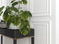 MD003 Mardom Decor listwa ścienna – zdjęcie w aranżacji (producent Mardom Decor)